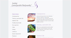 Desktop Screenshot of csinstitut.cz
